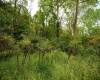 Lot 1 Saltlick Road, Rowlesburg, West Virginia 26425, 0 , 0 ,0,Lots/land,For Sale,Saltlick,0,10166982