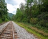 Lot 1 Saltlick Road, Rowlesburg, West Virginia 26425, 0 , 0 ,0,Lots/land,For Sale,Saltlick,0,10166982