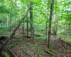 Lot 1 Saltlick Road, Rowlesburg, West Virginia 26425, 0 , 0 ,0,Lots/land,For Sale,Saltlick,0,10166982
