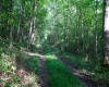 Lot 1 Deep Hollow Drive, Kingwood, West Virginia 26537, 0 , 0 ,0,Lots/land,For Sale,Deep Hollow,0,10166983