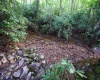 Lot 1 Deep Hollow Drive, Kingwood, West Virginia 26537, 0 , 0 ,0,Lots/land,For Sale,Deep Hollow,0,10166983
