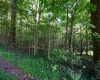 Lot 1 Deep Hollow Drive, Kingwood, West Virginia 26537, 0 , 0 ,0,Lots/land,For Sale,Deep Hollow,0,10166983