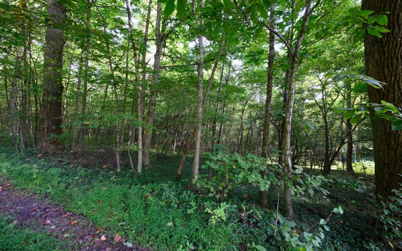 Lot 1 Deep Hollow Drive, Kingwood, West Virginia 26537, 0 , 0 ,0,Lots/land,For Sale,Deep Hollow,0,10166983