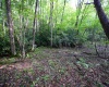 Lot 1 Deep Hollow Drive, Kingwood, West Virginia 26537, 0 , 0 ,0,Lots/land,For Sale,Deep Hollow,0,10166983