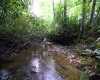 Lot 1 Deep Hollow Drive, Kingwood, West Virginia 26537, 0 , 0 ,0,Lots/land,For Sale,Deep Hollow,0,10166983