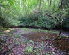 Lot 1 Deep Hollow Drive, Kingwood, West Virginia 26537, 0 , 0 ,0,Lots/land,For Sale,Deep Hollow,0,10166983