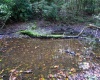 Lot 1 Deep Hollow Drive, Kingwood, West Virginia 26537, 0 , 0 ,0,Lots/land,For Sale,Deep Hollow,0,10166983
