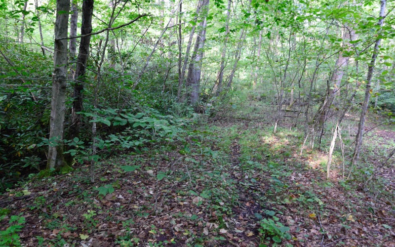 Lot 1 Deep Hollow Drive, Kingwood, West Virginia 26537, 0 , 0 ,0,Lots/land,For Sale,Deep Hollow,0,10166983