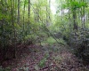 Lot 1 Deep Hollow Drive, Kingwood, West Virginia 26537, 0 , 0 ,0,Lots/land,For Sale,Deep Hollow,0,10166983