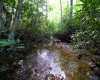 Lot 1 Deep Hollow Drive, Kingwood, West Virginia 26537, 0 , 0 ,0,Lots/land,For Sale,Deep Hollow,0,10166983