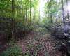 Lot 1 Deep Hollow Drive, Kingwood, West Virginia 26537, 0 , 0 ,0,Lots/land,For Sale,Deep Hollow,0,10166983
