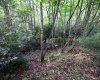 Lot 1 Deep Hollow Drive, Kingwood, West Virginia 26537, 0 , 0 ,0,Lots/land,For Sale,Deep Hollow,0,10166983