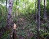 Lot 1 Deep Hollow Drive, Kingwood, West Virginia 26537, 0 , 0 ,0,Lots/land,For Sale,Deep Hollow,0,10166983