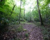 Lot 1 Deep Hollow Drive, Kingwood, West Virginia 26537, 0 , 0 ,0,Lots/land,For Sale,Deep Hollow,0,10166983