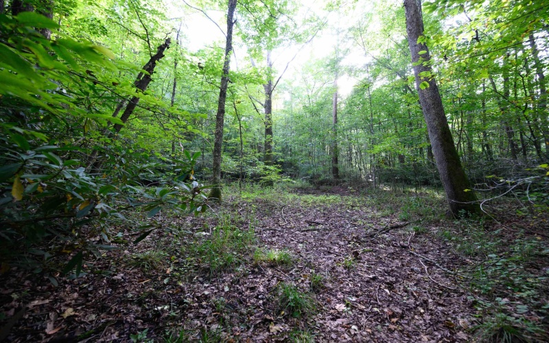 Lot 1 Deep Hollow Drive, Kingwood, West Virginia 26537, 0 , 0 ,0,Lots/land,For Sale,Deep Hollow,0,10166983