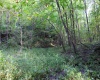 Lot 1 Deep Hollow Drive, Kingwood, West Virginia 26537, 0 , 0 ,0,Lots/land,For Sale,Deep Hollow,0,10166983
