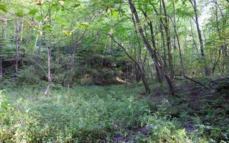 Lot 1 Deep Hollow Drive, Kingwood, West Virginia 26537, 0 , 0 ,0,Lots/land,For Sale,Deep Hollow,0,10166983