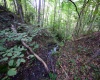 Lot 1 Deep Hollow Drive, Kingwood, West Virginia 26537, 0 , 0 ,0,Lots/land,For Sale,Deep Hollow,0,10166983