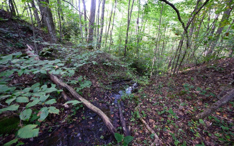 Lot 1 Deep Hollow Drive, Kingwood, West Virginia 26537, 0 , 0 ,0,Lots/land,For Sale,Deep Hollow,0,10166983
