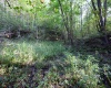 Lot 1 Deep Hollow Drive, Kingwood, West Virginia 26537, 0 , 0 ,0,Lots/land,For Sale,Deep Hollow,0,10166983