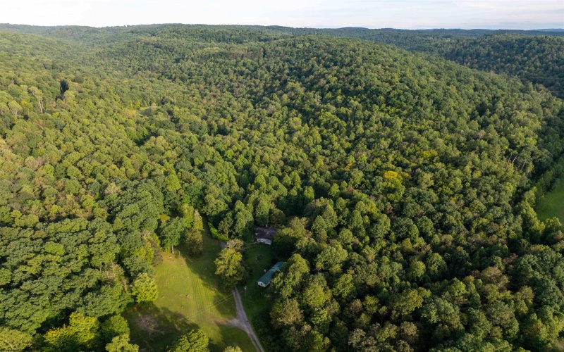 Lot 1 Deep Hollow Drive, Kingwood, West Virginia 26537, 0 , 0 ,0,Lots/land,For Sale,Deep Hollow,0,10166983
