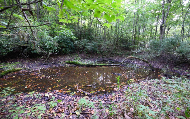 Lot 1 Deep Hollow Drive, Kingwood, West Virginia 26537, 0 , 0 ,0,Lots/land,For Sale,Deep Hollow,0,10166983