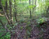 Lot 1 Deep Hollow Drive, Kingwood, West Virginia 26537, 0 , 0 ,0,Lots/land,For Sale,Deep Hollow,0,10166983