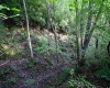 Lot 1 Deep Hollow Drive, Kingwood, West Virginia 26537, 0 , 0 ,0,Lots/land,For Sale,Deep Hollow,0,10166983