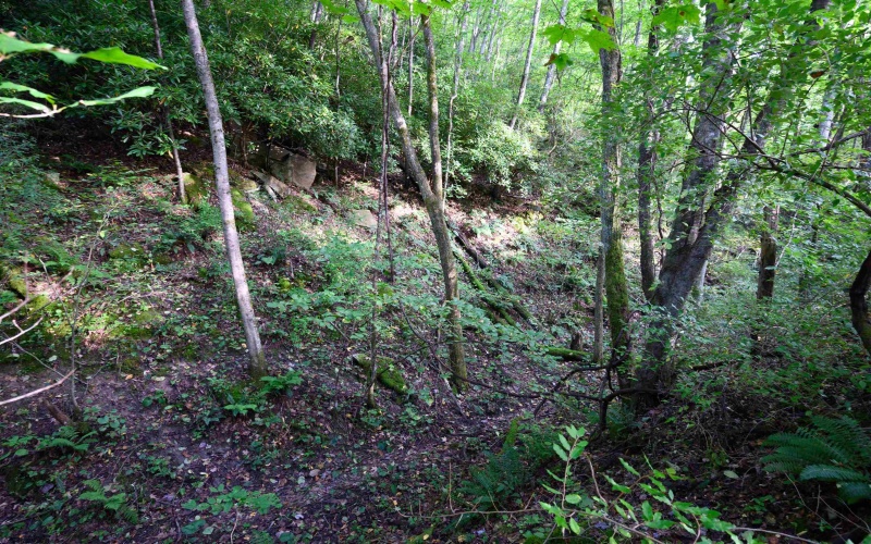 Lot 1 Deep Hollow Drive, Kingwood, West Virginia 26537, 0 , 0 ,0,Lots/land,For Sale,Deep Hollow,0,10166983