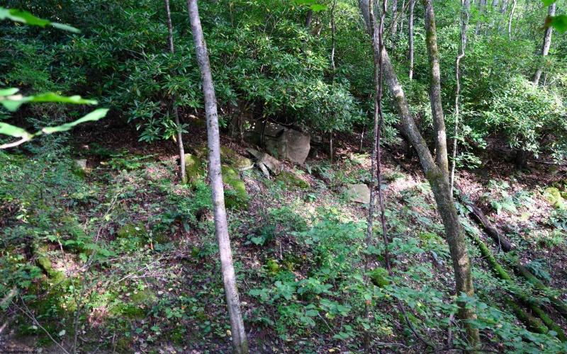 Lot 1 Deep Hollow Drive, Kingwood, West Virginia 26537, 0 , 0 ,0,Lots/land,For Sale,Deep Hollow,0,10166983
