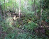 Lot 1 Deep Hollow Drive, Kingwood, West Virginia 26537, 0 , 0 ,0,Lots/land,For Sale,Deep Hollow,0,10166983