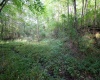 Lot 1 Deep Hollow Drive, Kingwood, West Virginia 26537, 0 , 0 ,0,Lots/land,For Sale,Deep Hollow,0,10166983