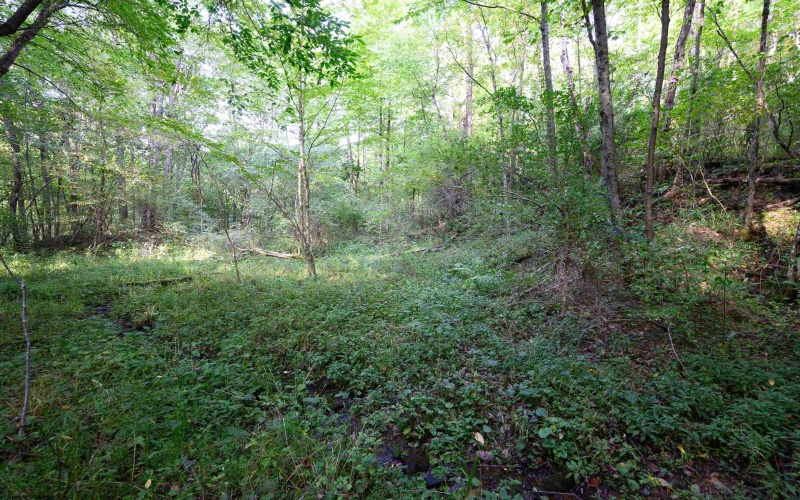 Lot 1 Deep Hollow Drive, Kingwood, West Virginia 26537, 0 , 0 ,0,Lots/land,For Sale,Deep Hollow,0,10166983