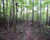 Lot 1 Deep Hollow Drive, Kingwood, West Virginia 26537, 0 , 0 ,0,Lots/land,For Sale,Deep Hollow,0,10166983