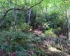 Lot 1 Deep Hollow Drive, Kingwood, West Virginia 26537, 0 , 0 ,0,Lots/land,For Sale,Deep Hollow,0,10166983