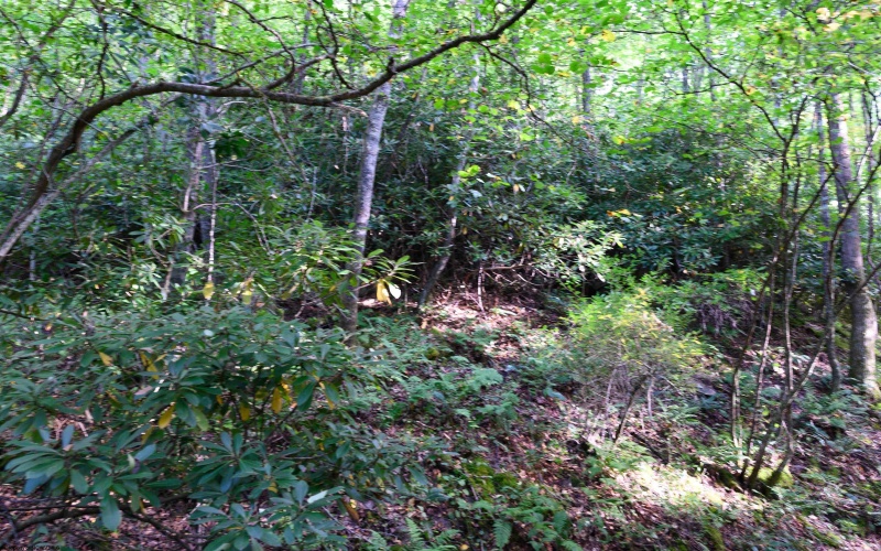 Lot 1 Deep Hollow Drive, Kingwood, West Virginia 26537, 0 , 0 ,0,Lots/land,For Sale,Deep Hollow,0,10166983