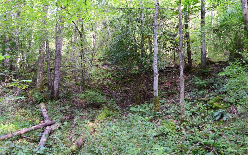 Lot 1 Deep Hollow Drive, Kingwood, West Virginia 26537, 0 , 0 ,0,Lots/land,For Sale,Deep Hollow,0,10166983