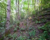 Lot 1 Deep Hollow Drive, Kingwood, West Virginia 26537, 0 , 0 ,0,Lots/land,For Sale,Deep Hollow,0,10166983