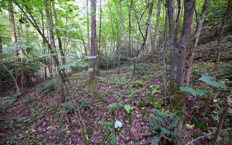 Lot 1 Deep Hollow Drive, Kingwood, West Virginia 26537, 0 , 0 ,0,Lots/land,For Sale,Deep Hollow,0,10166983