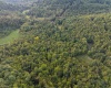 Lot 1 Deep Hollow Drive, Kingwood, West Virginia 26537, 0 , 0 ,0,Lots/land,For Sale,Deep Hollow,0,10166983