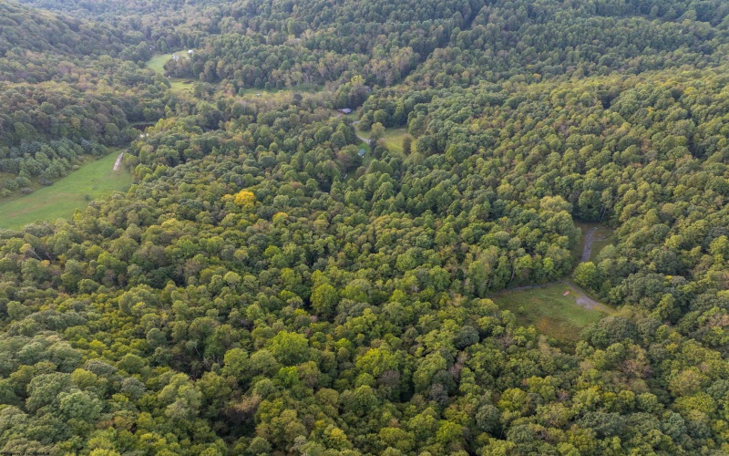 Lot 1 Deep Hollow Drive, Kingwood, West Virginia 26537, 0 , 0 ,0,Lots/land,For Sale,Deep Hollow,0,10166983