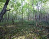 Lot 1 Deep Hollow Drive, Kingwood, West Virginia 26537, 0 , 0 ,0,Lots/land,For Sale,Deep Hollow,0,10166983