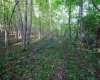Lot 1 Deep Hollow Drive, Kingwood, West Virginia 26537, 0 , 0 ,0,Lots/land,For Sale,Deep Hollow,0,10166983