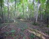 Lot 1 Deep Hollow Drive, Kingwood, West Virginia 26537, 0 , 0 ,0,Lots/land,For Sale,Deep Hollow,0,10166983