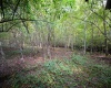 Lot 1 Deep Hollow Drive, Kingwood, West Virginia 26537, 0 , 0 ,0,Lots/land,For Sale,Deep Hollow,0,10166983