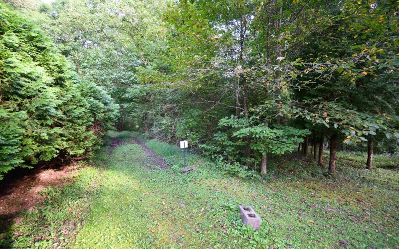 Lot 1 Deep Hollow Drive, Kingwood, West Virginia 26537, 0 , 0 ,0,Lots/land,For Sale,Deep Hollow,0,10166983