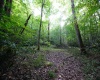 Lot 1 Deep Hollow Drive, Kingwood, West Virginia 26537, 0 , 0 ,0,Lots/land,For Sale,Deep Hollow,0,10166983