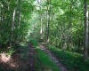 Lot 1 Deep Hollow Drive, Kingwood, West Virginia 26537, 0 , 0 ,0,Lots/land,For Sale,Deep Hollow,0,10166983