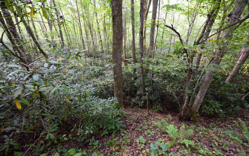 Lot 1 Deep Hollow Drive, Kingwood, West Virginia 26537, 0 , 0 ,0,Lots/land,For Sale,Deep Hollow,0,10166983