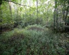 Lot 1 Deep Hollow Drive, Kingwood, West Virginia 26537, 0 , 0 ,0,Lots/land,For Sale,Deep Hollow,0,10166983